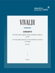 Concerto in G minor RV107