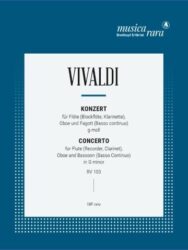 Concerto in G minor RV103