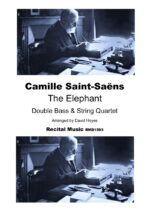The Elephant